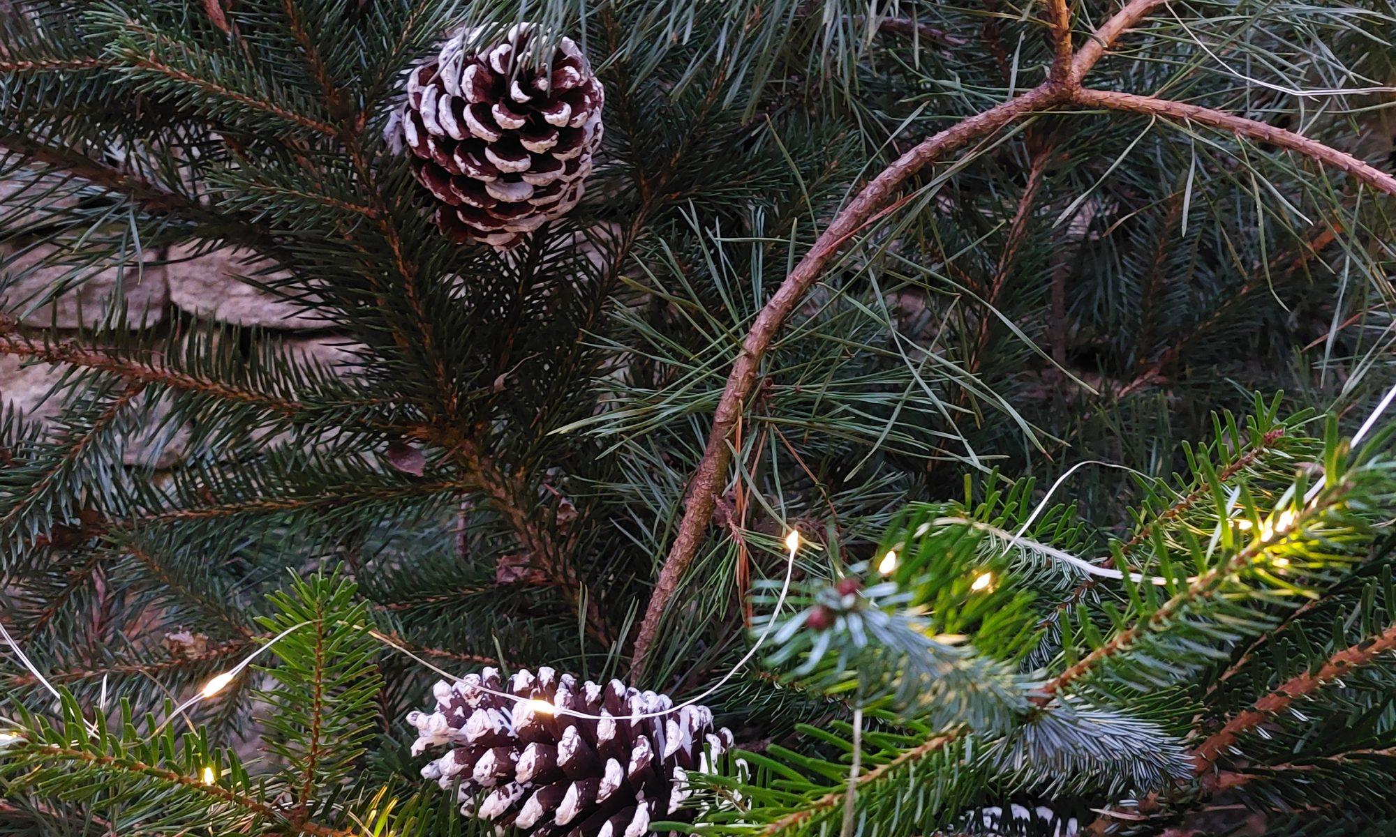 Druhý adventní víkend v Kutné Hoře s příchutí tradic, zvyků a jitrnic