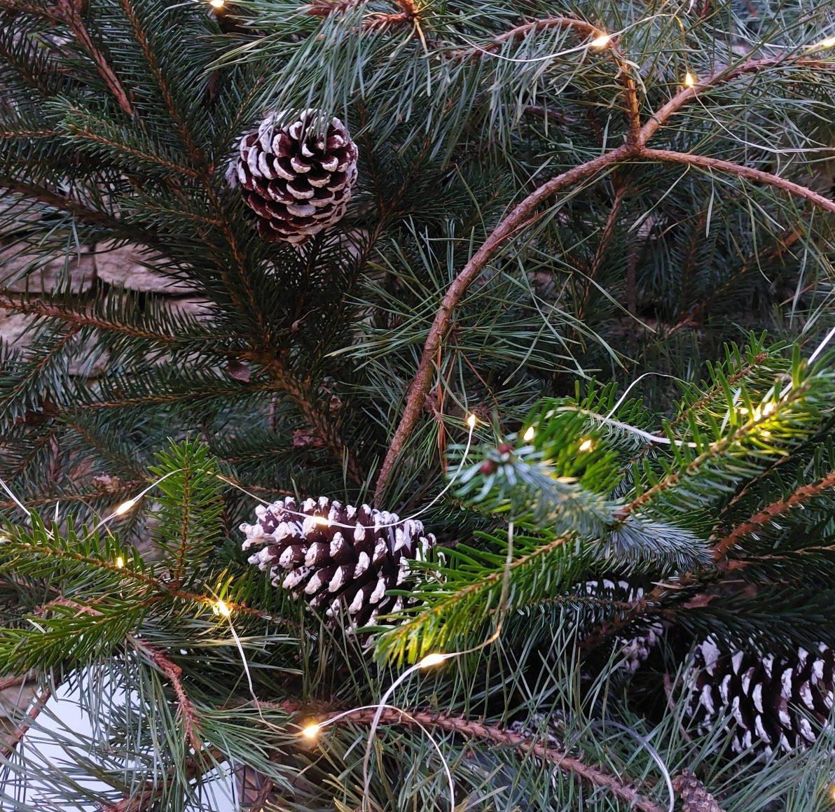 Druhý adventní víkend v Kutné Hoře s příchutí tradic, zvyků a jitrnic